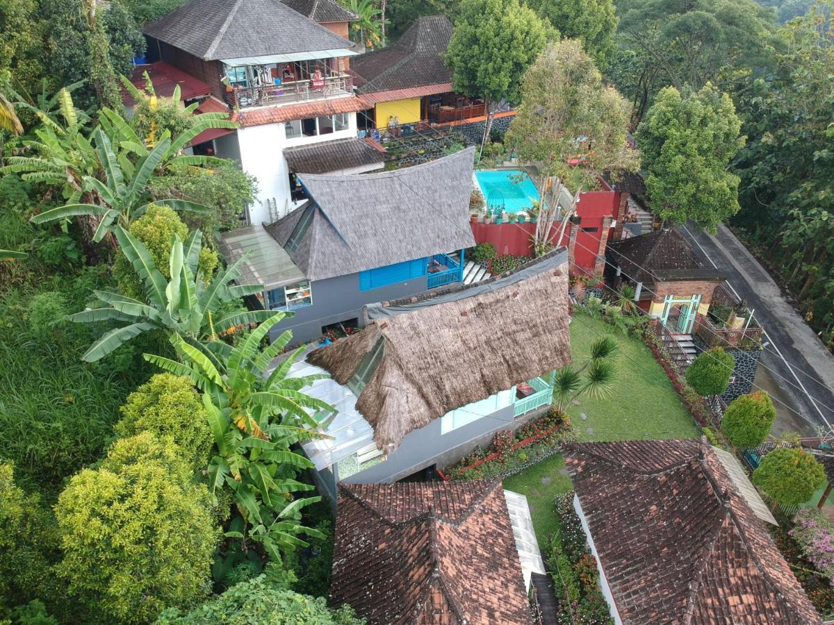 Manggis Garden Dive Holiday park Candi Dasa (Bali)