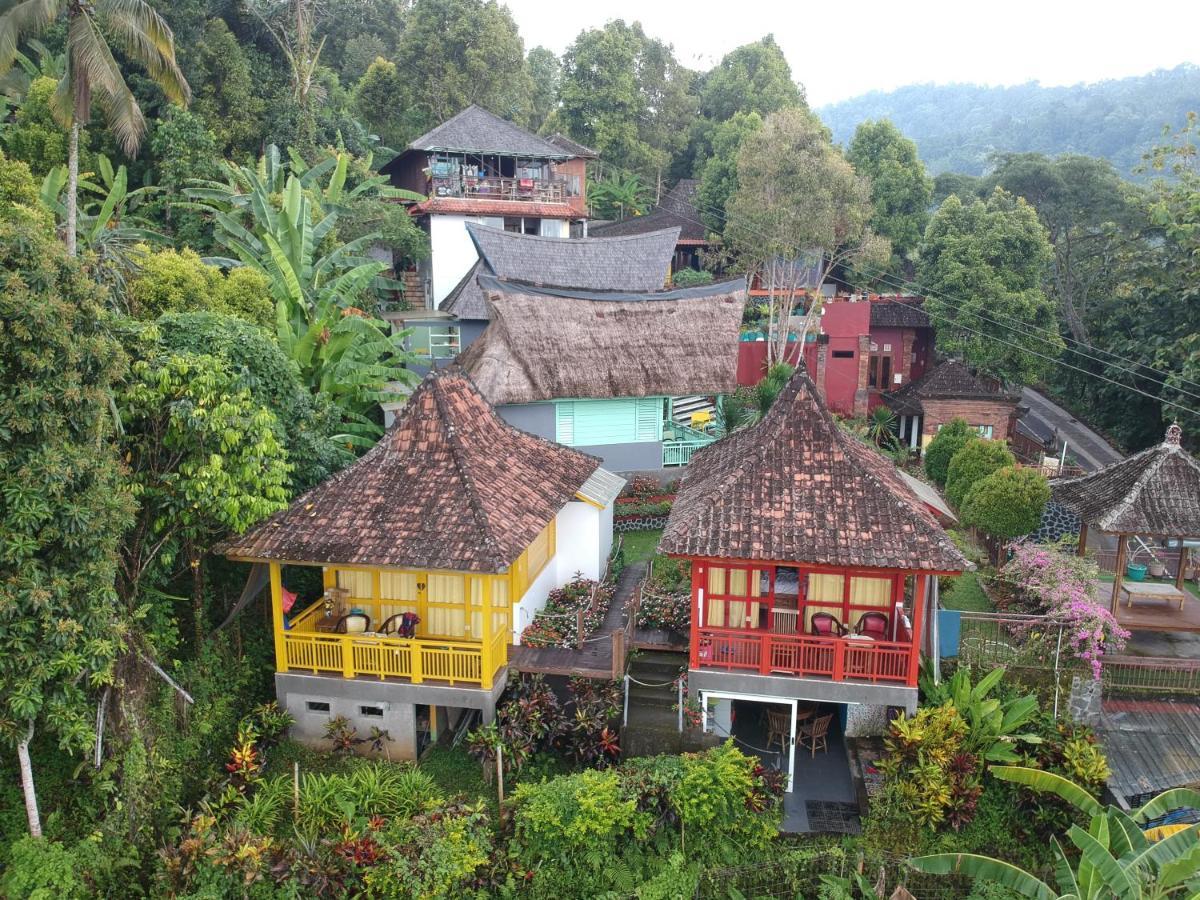 Holiday park Manggis Garden Dive 3*