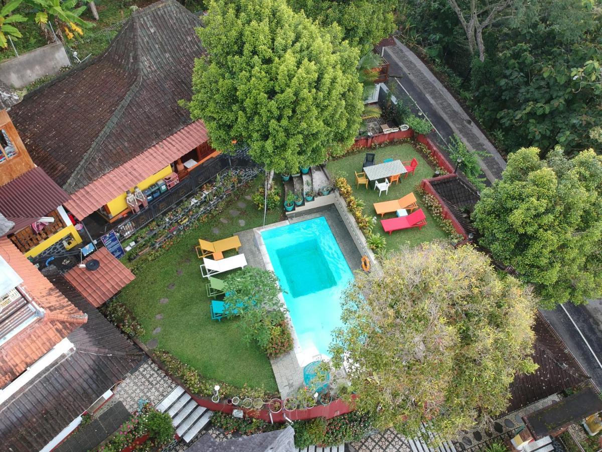 Manggis Garden Dive 3* Candi Dasa (Bali)