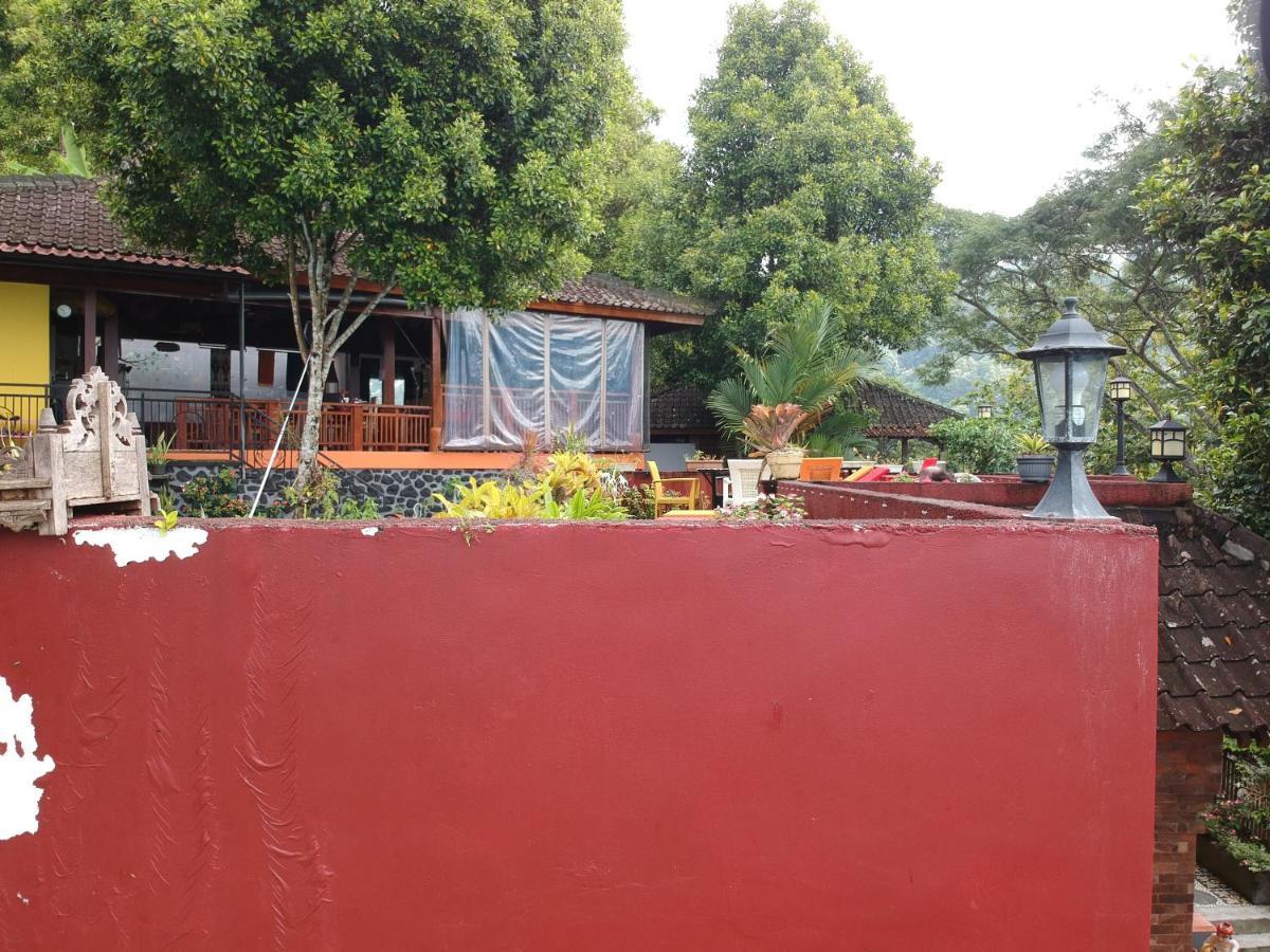 Holiday park Manggis Garden Dive Candi Dasa (Bali)