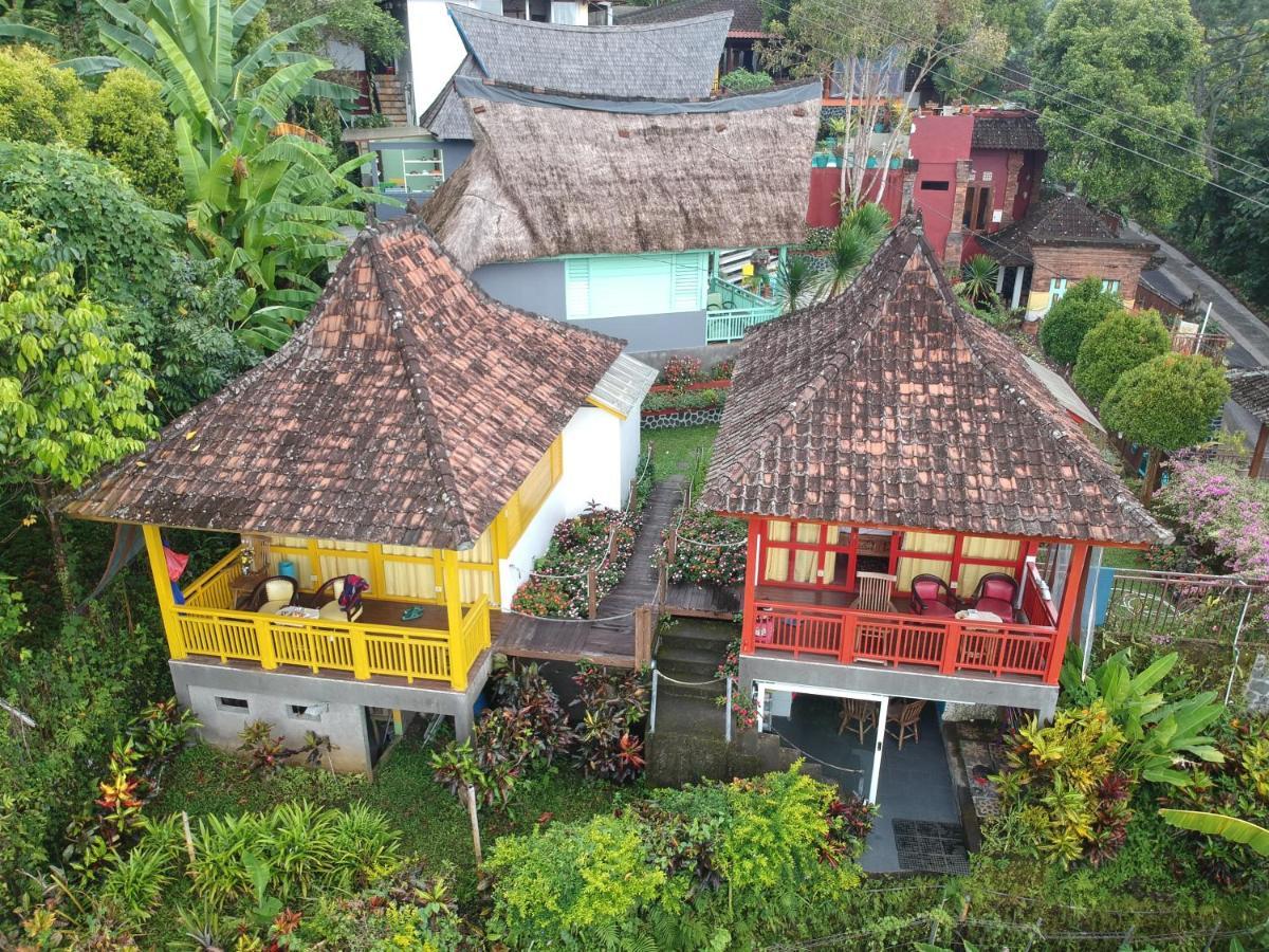 Manggis Garden Dive 3* Candi Dasa (Bali)