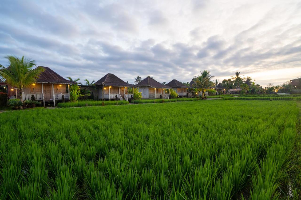 Hotel Uma Sebatu 4*