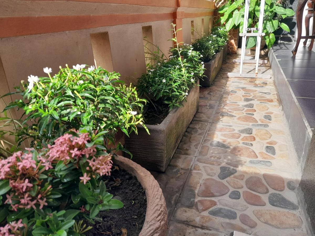 Guest house Harmony 2*