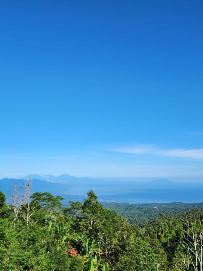 Kayukopi Munduk (Bali)