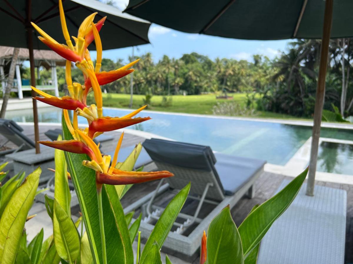Resort Coco Bali 4*