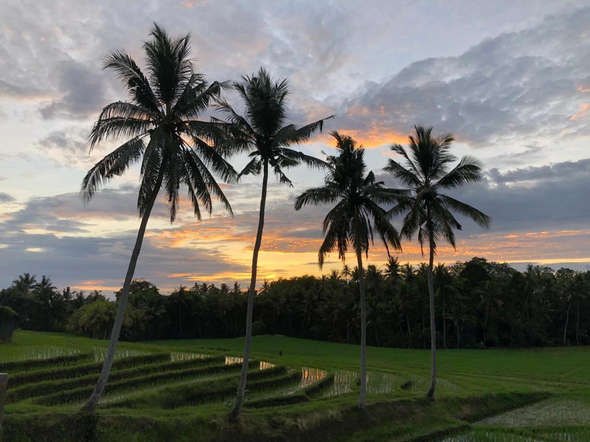 Resort Coco Bali Tanah Lot (Bali)