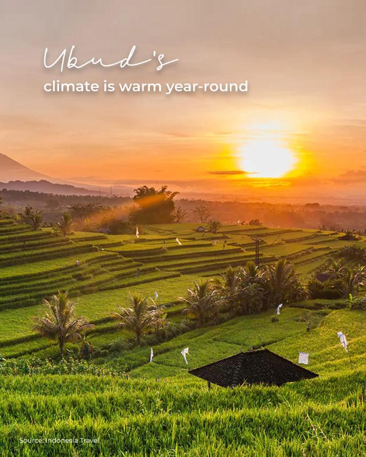 Song Broek Bali Resort Payangan