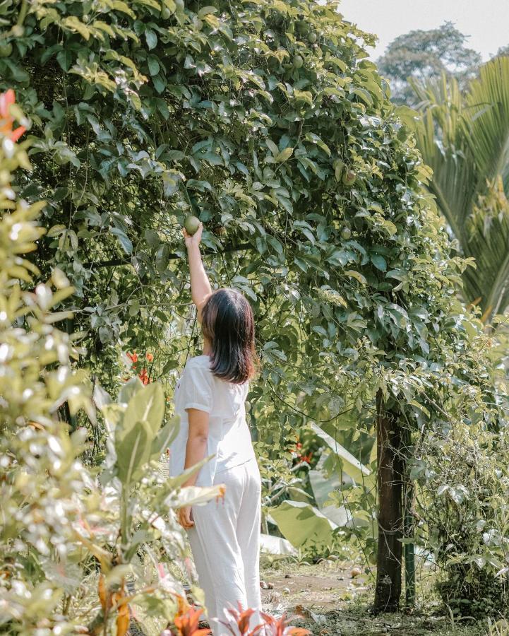 Song Broek Bali Resort Payangan