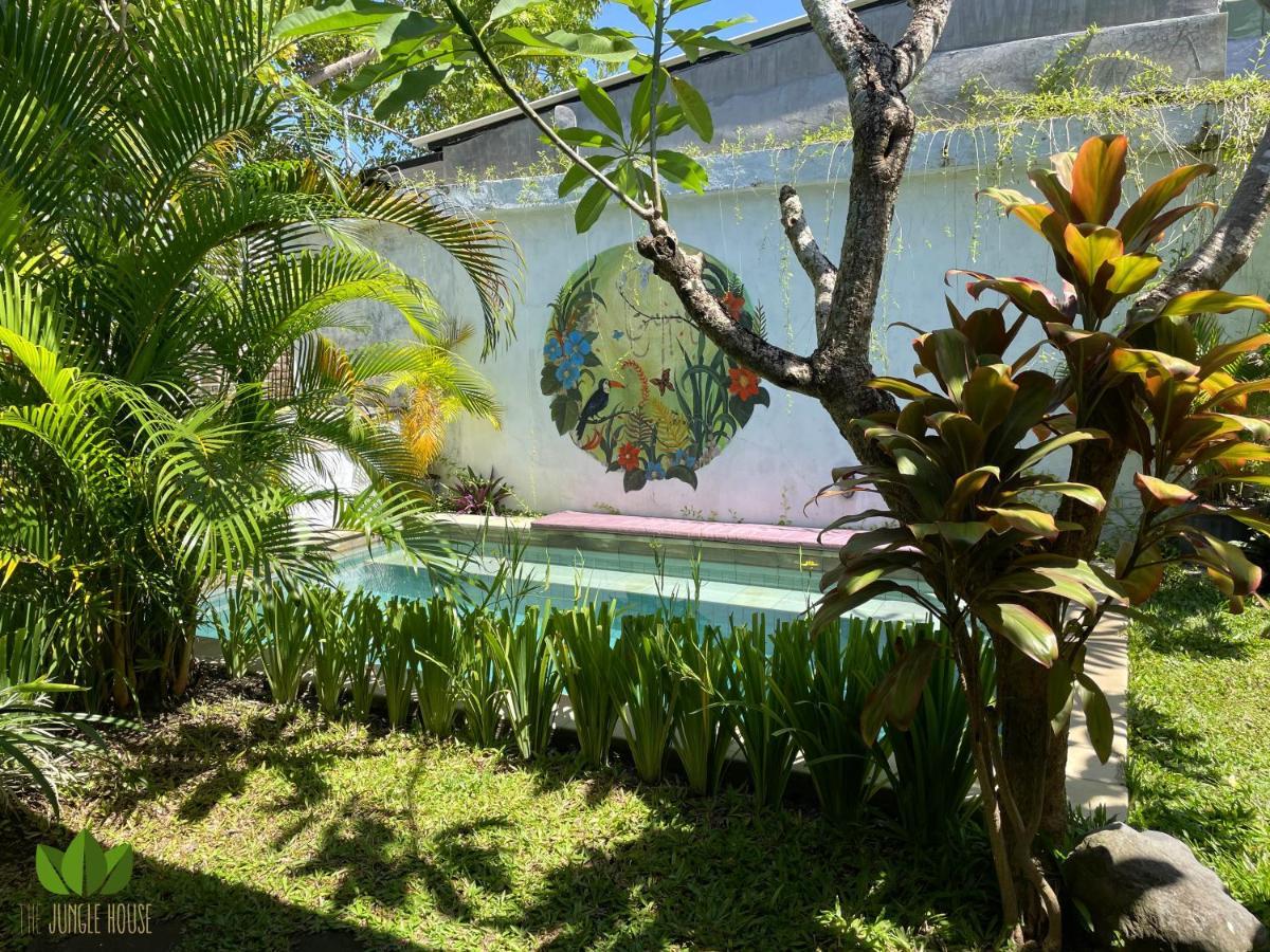 Hostel The Jungle House *
