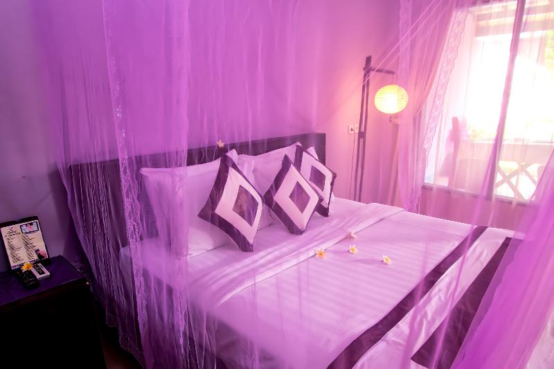 Lavender & Villa *