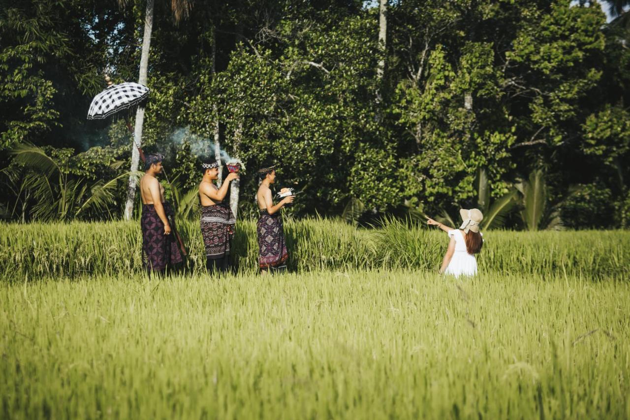 Sunshine Bed & Breakfast Ubud (Bali)