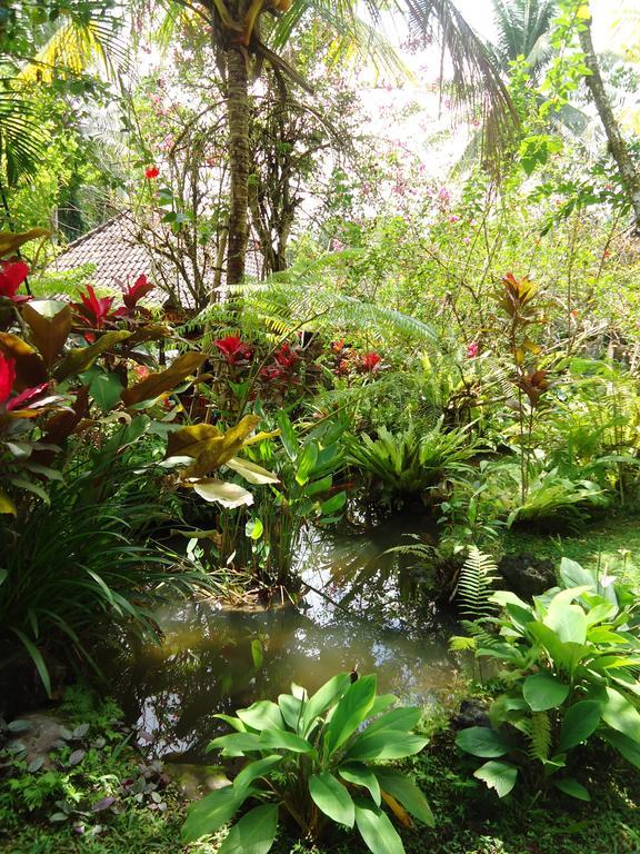 Gusti's Garden Wisma tamu 4*