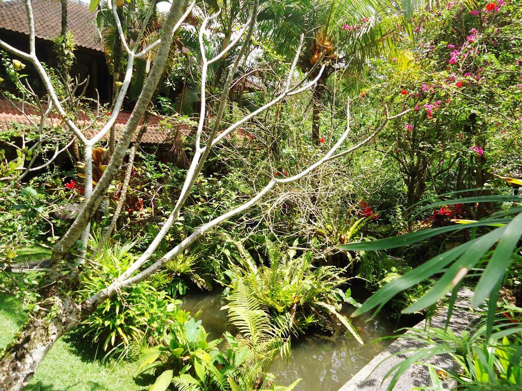 Gusti's Garden 4*