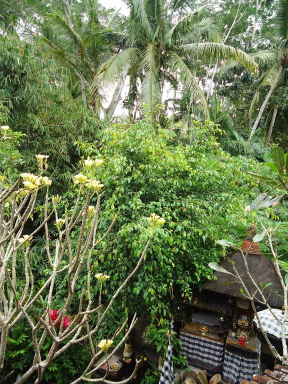 Wisma tamu Gusti's Garden 4*