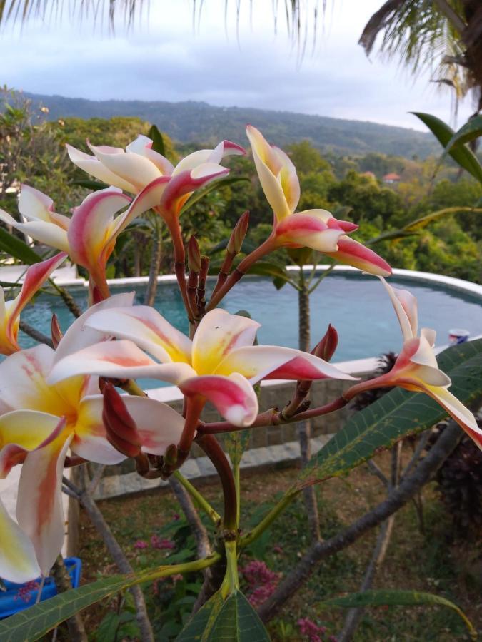Paradise Lovina (Bali)