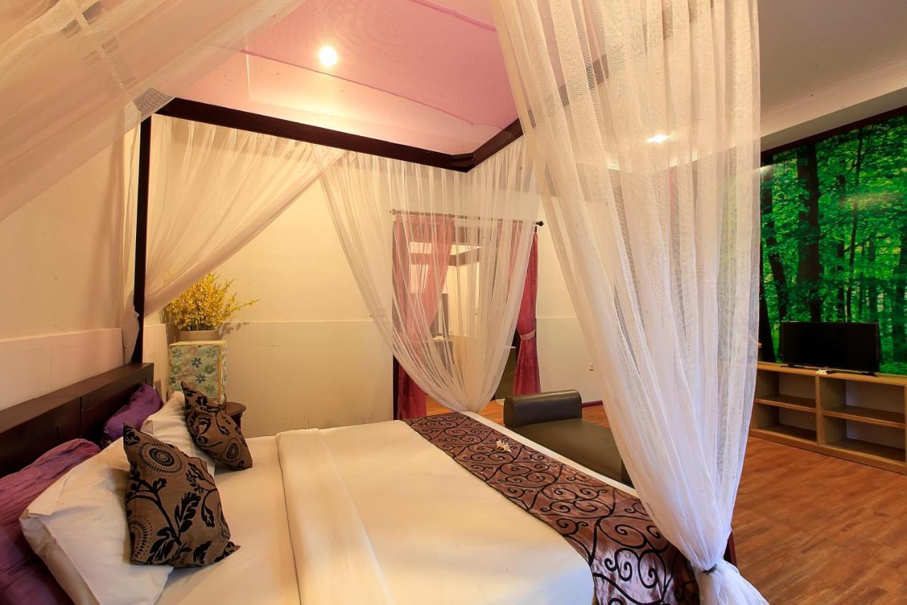 Lavender & Villa *