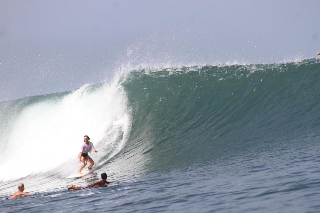 Medewi Secret Surfcamp Pulukan