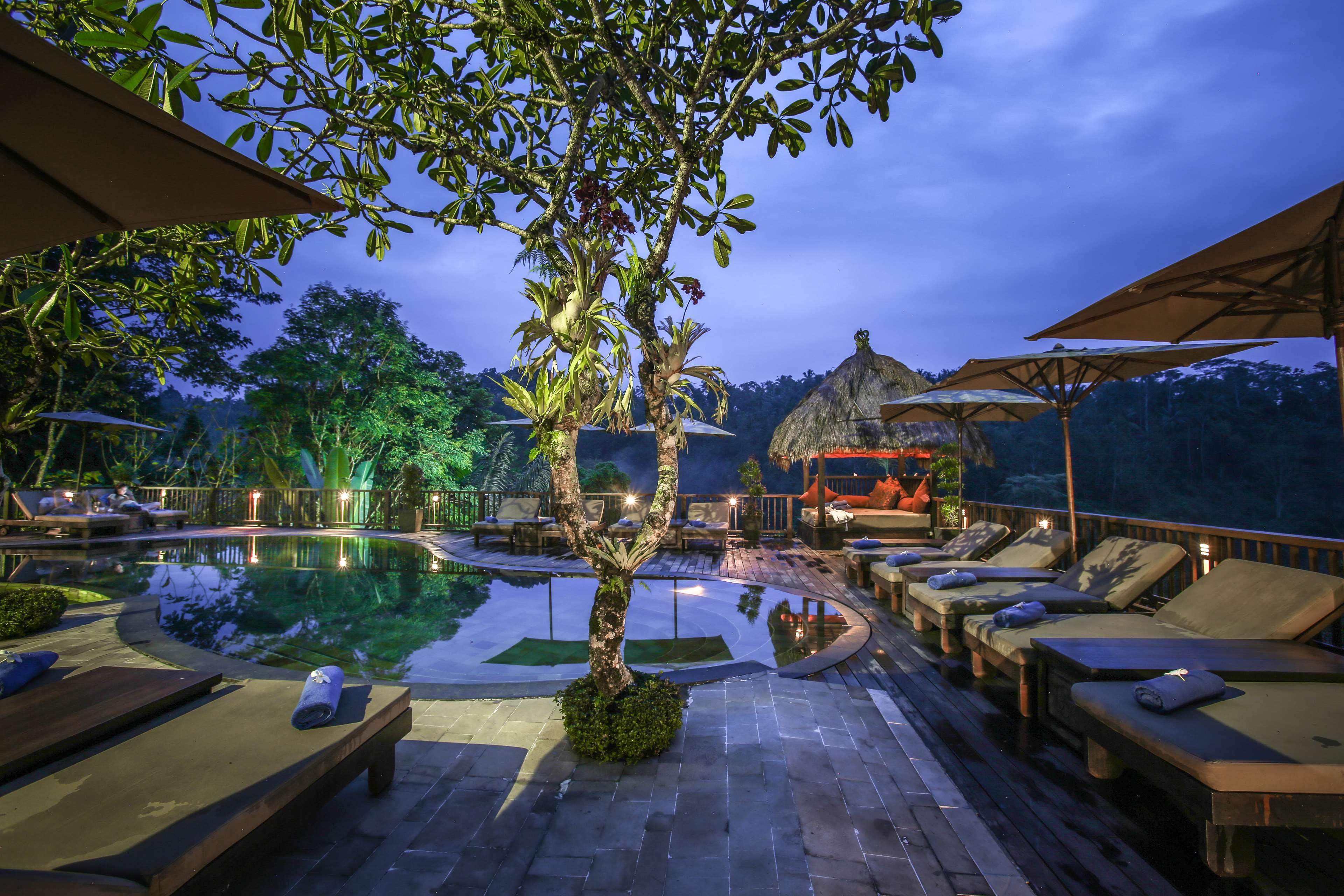 Nandini Jungle By Hanging Gardens