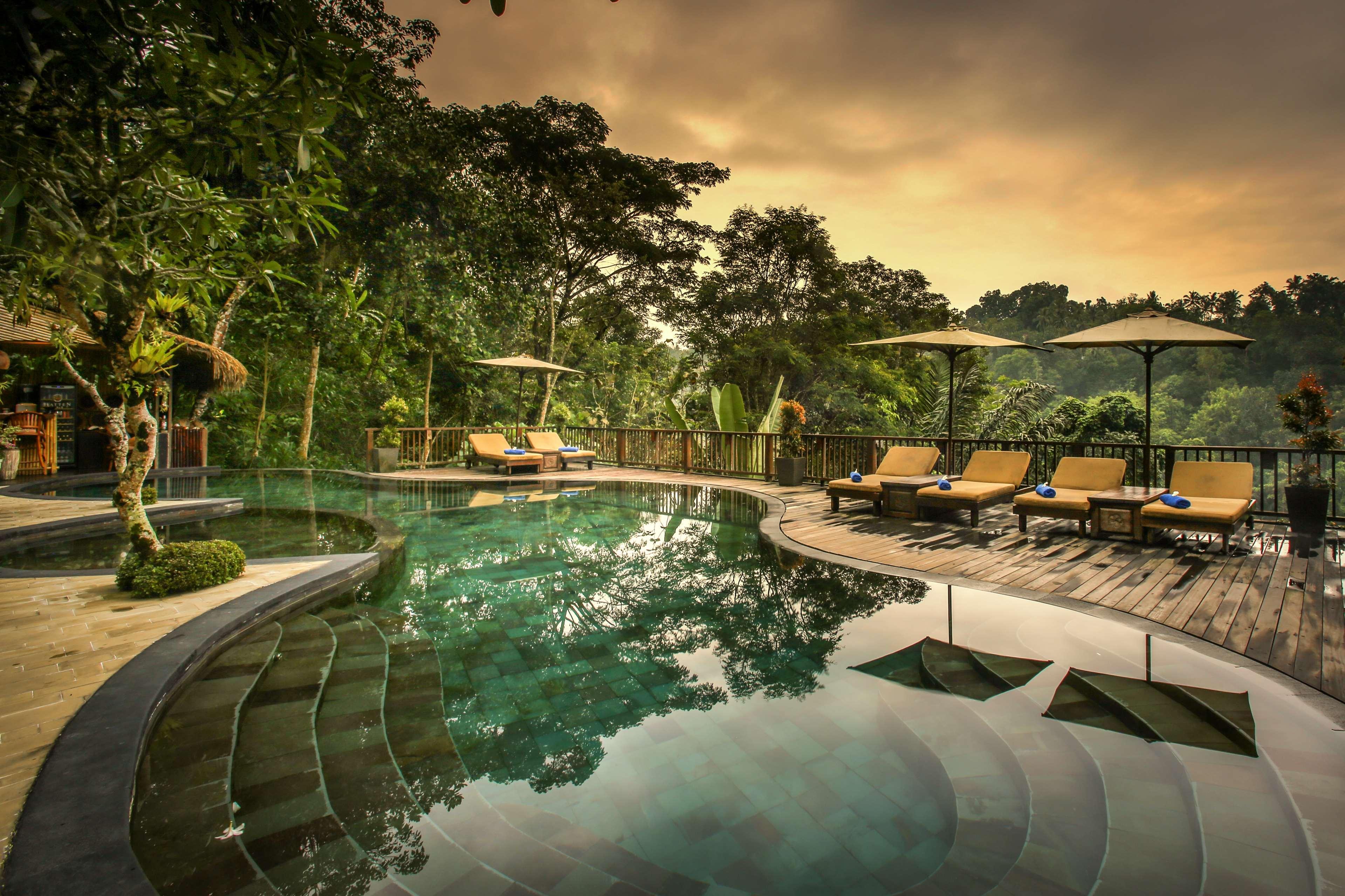 Resort Nandini Jungle By Hanging Gardens