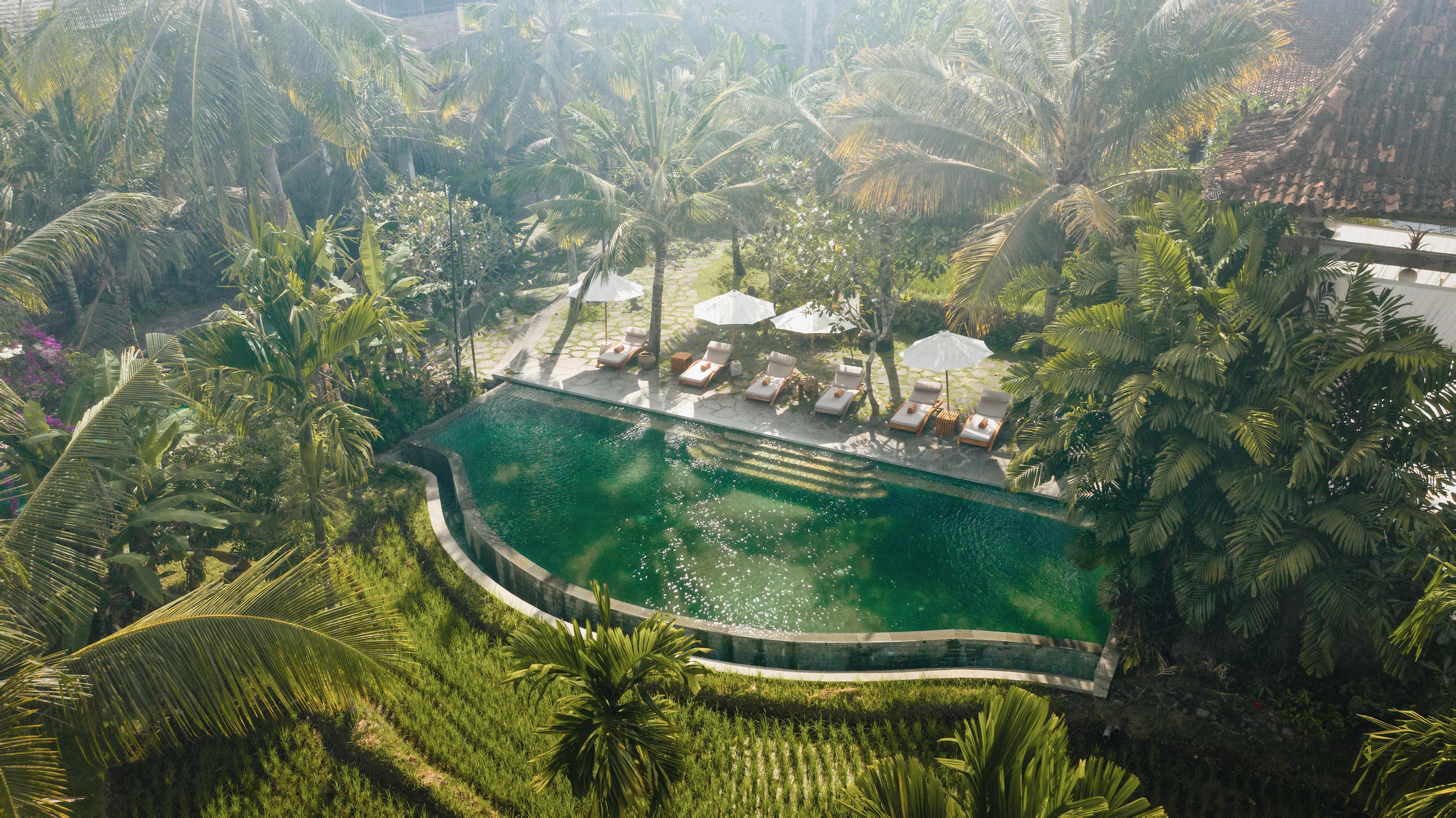Alaya Resort