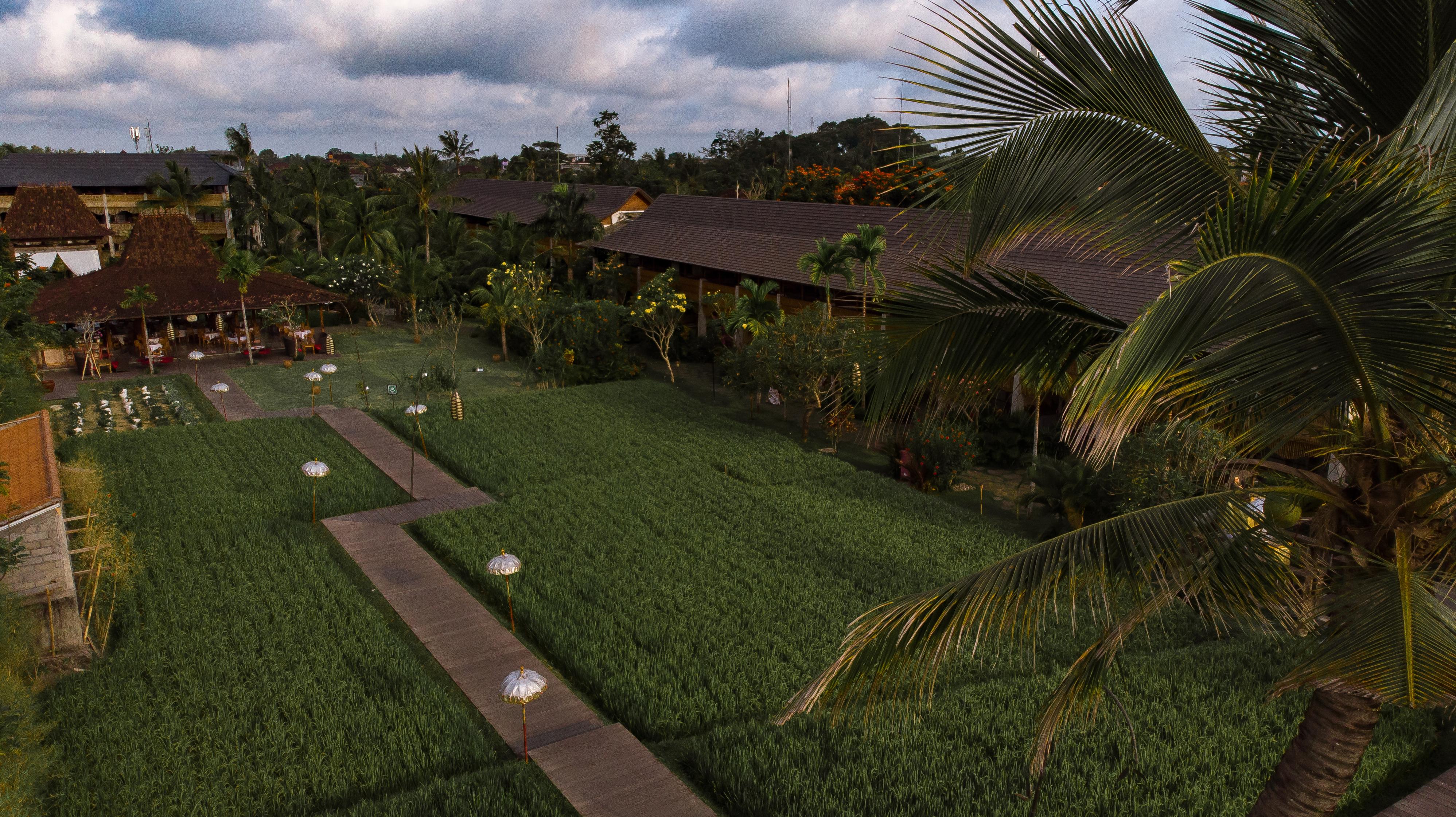 Alaya Resort Ubud (Bali)