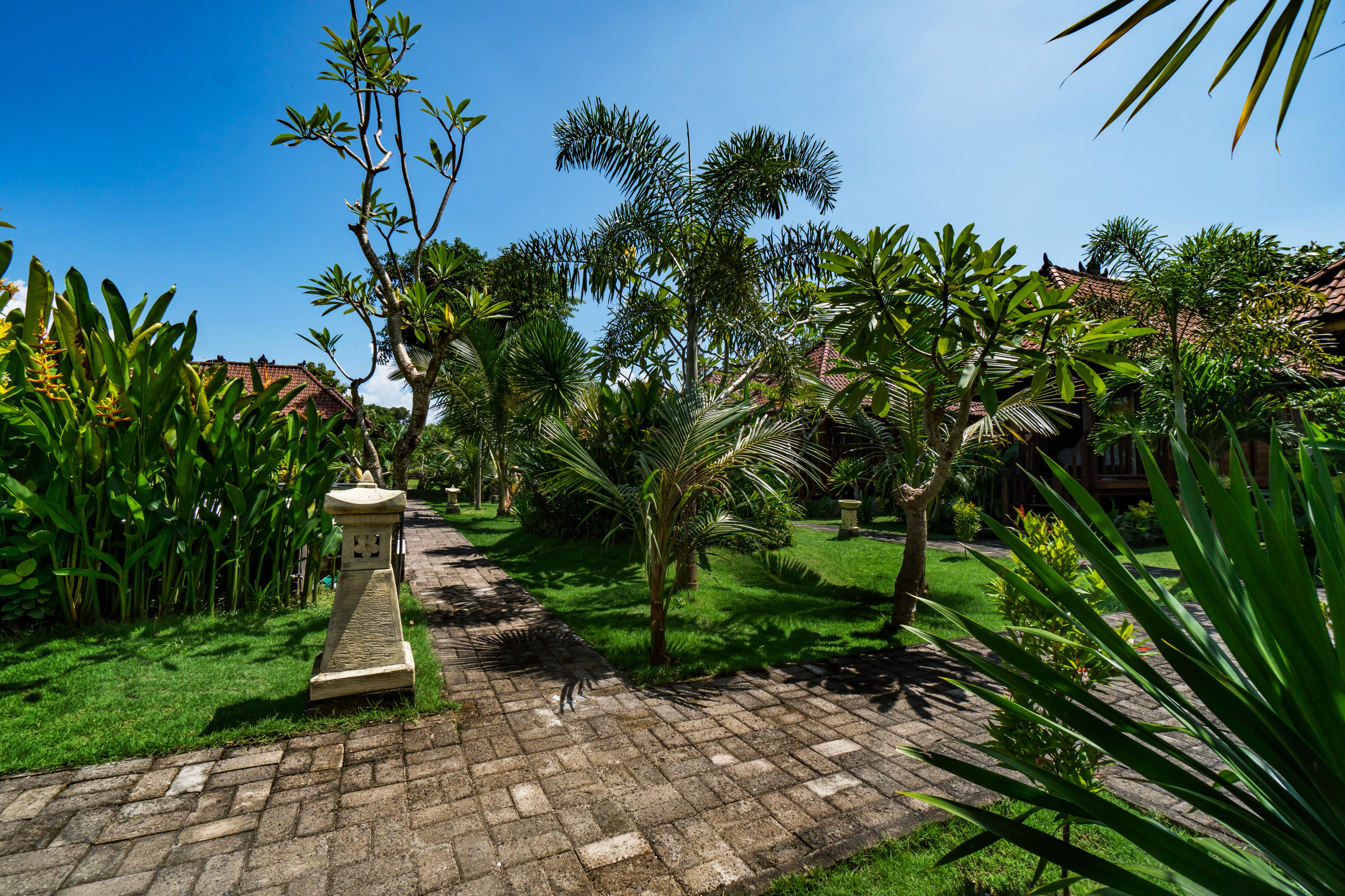 The Cozy Taman liburan 3*