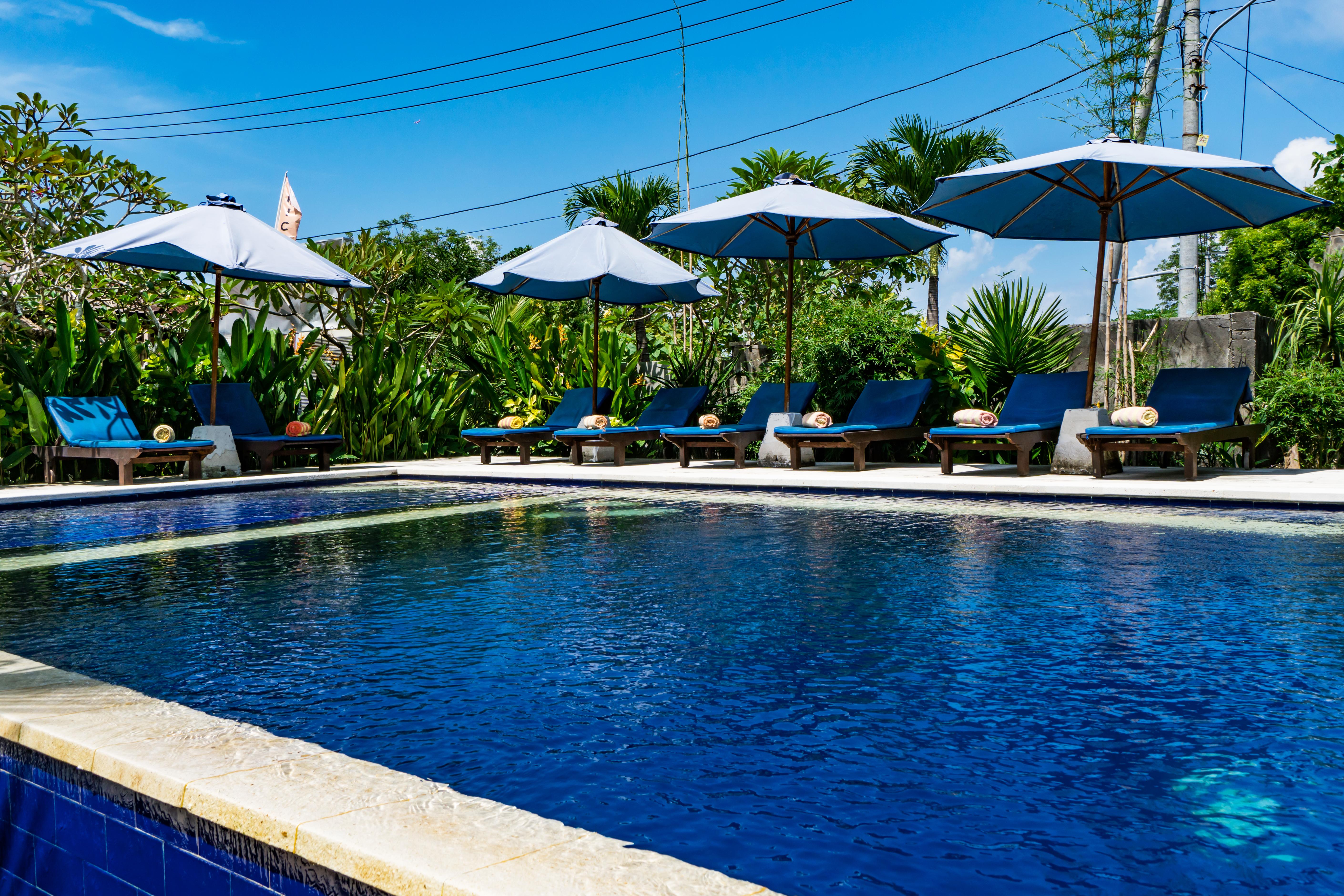 The Cozy Taman liburan