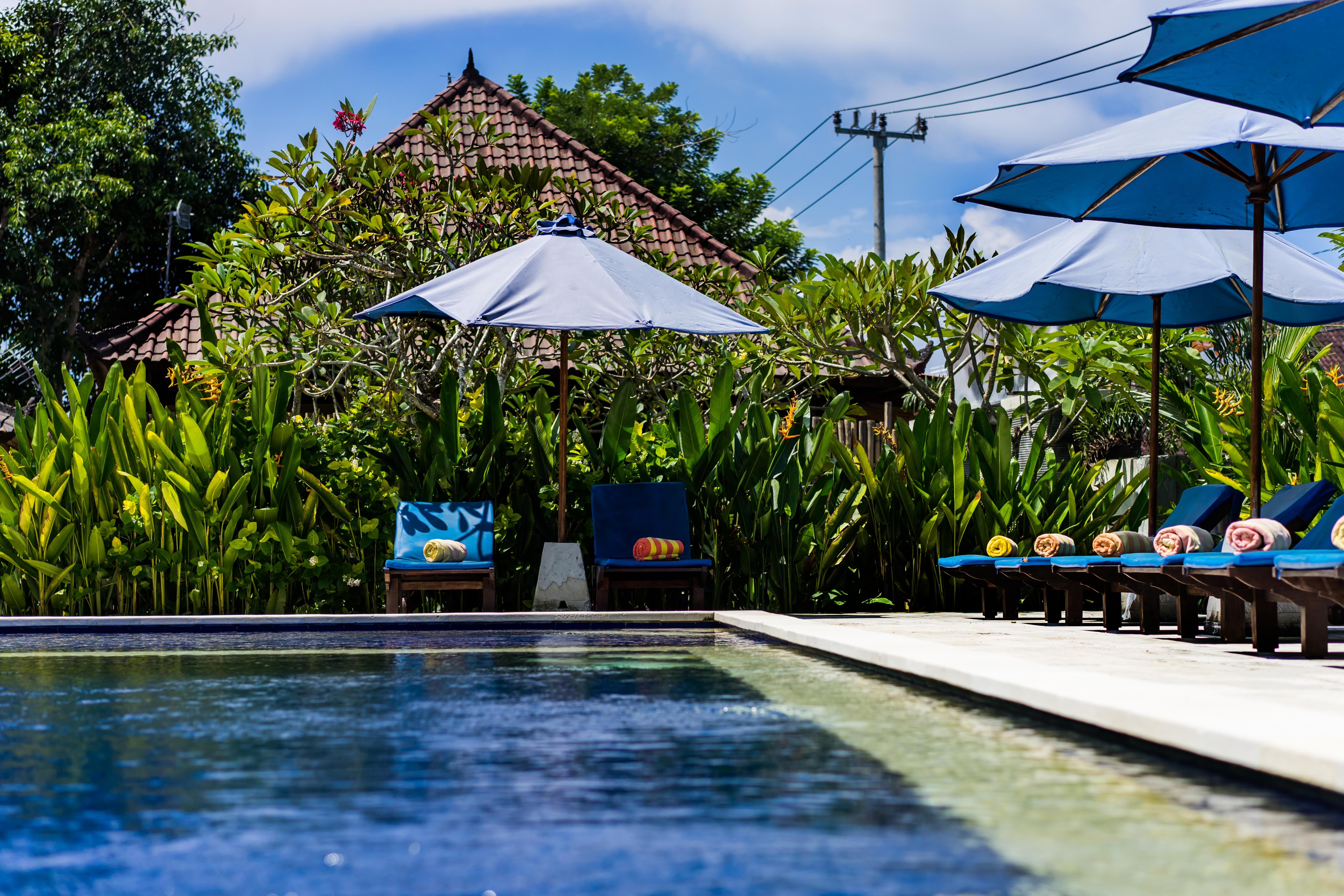 The Cozy Taman liburan