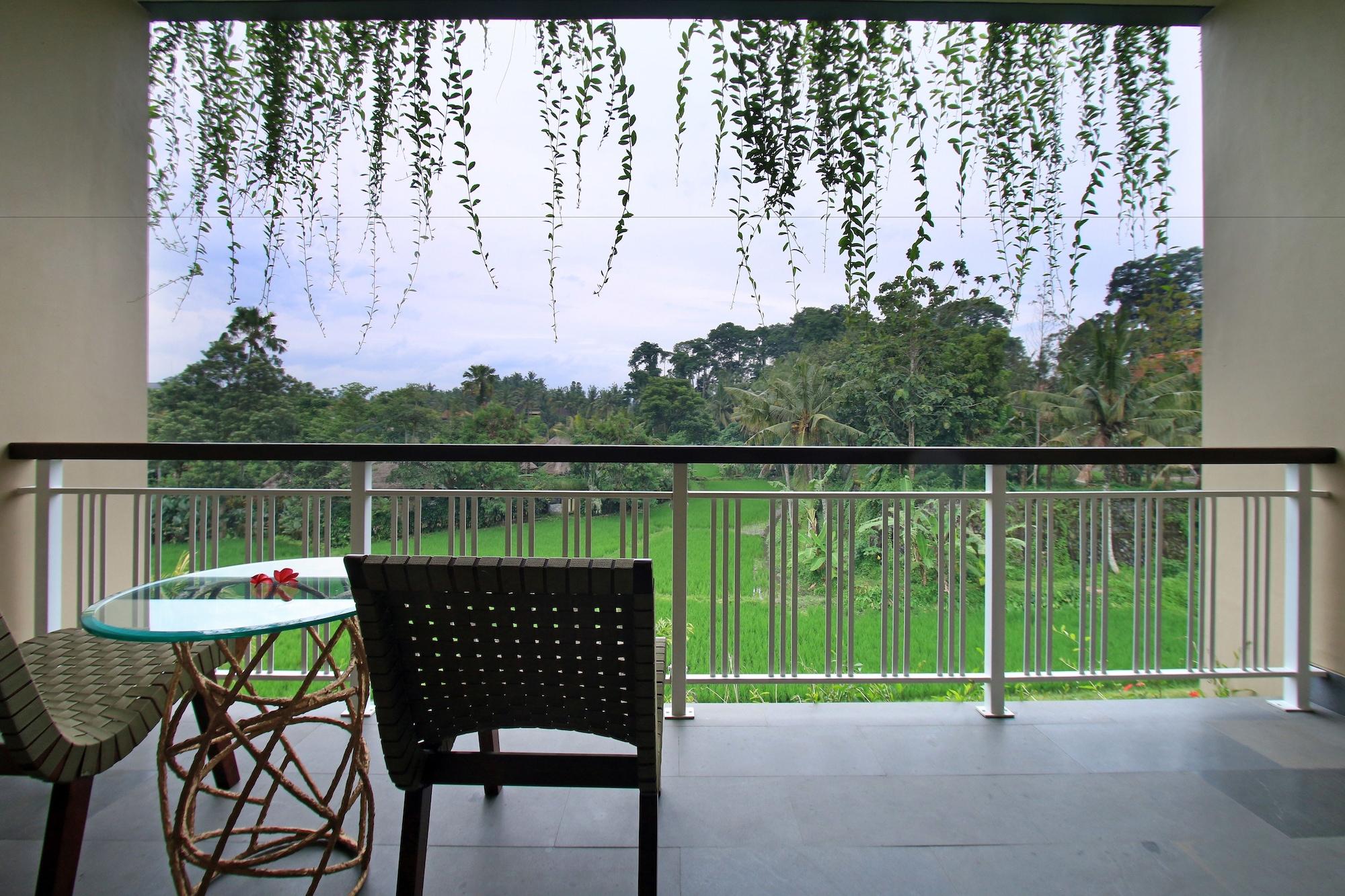 Guest house Byasa 3*