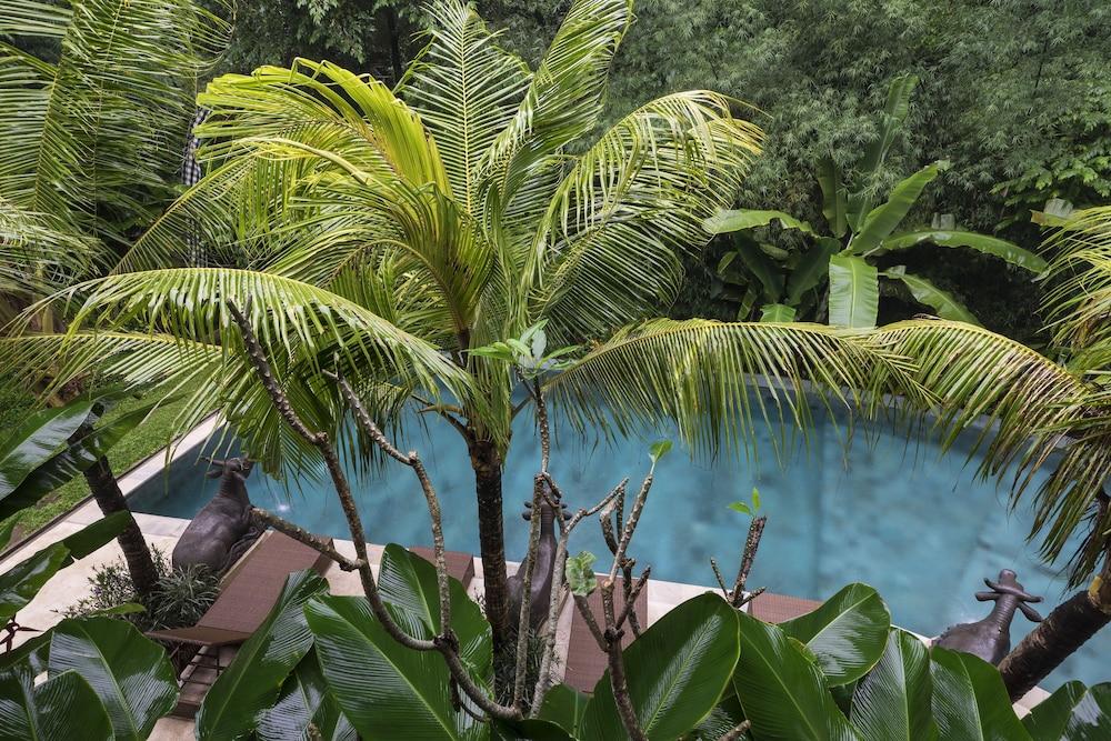 Guest house Jungle Haven
