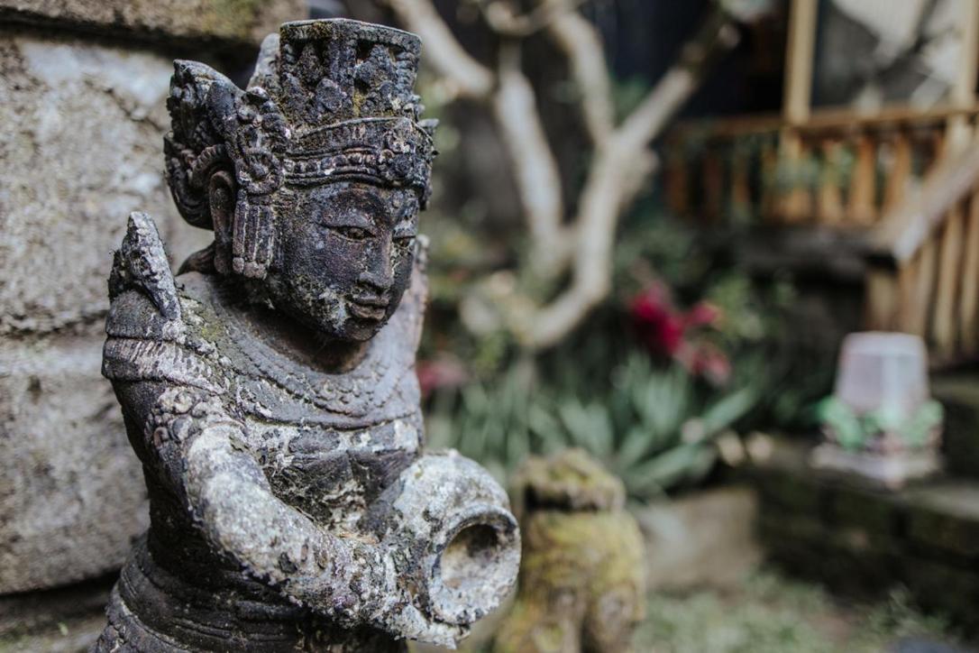 Surf & Yoga Bali Bed & Breakfast