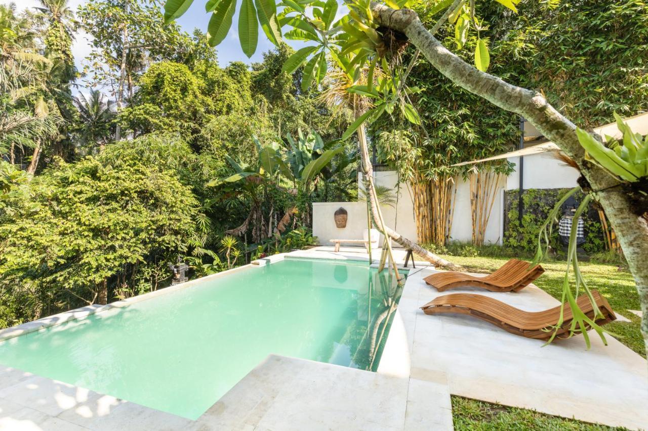Villa Promo! Luxury Escape In 2 Br Ubud (Bali)