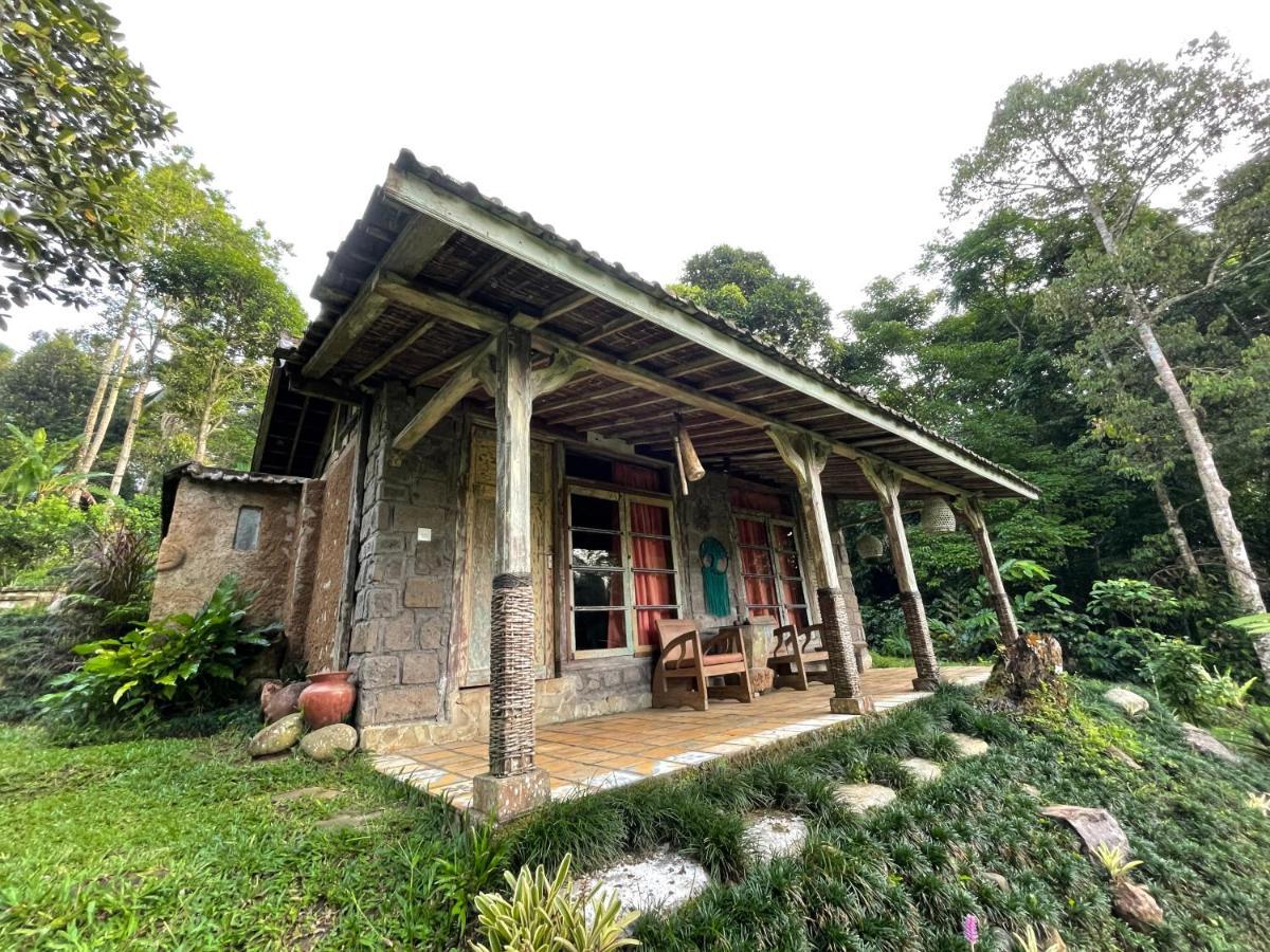 Lodge Oemah Tepi Sawah Jatiluwih