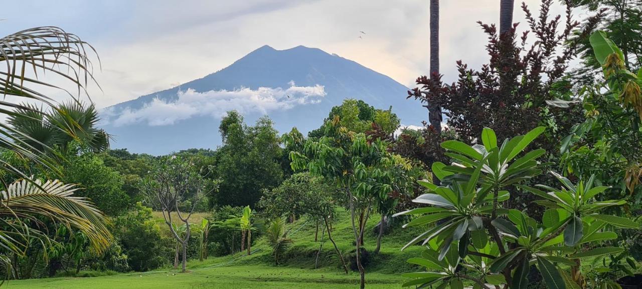 Palm Springs Bali Dive Resort