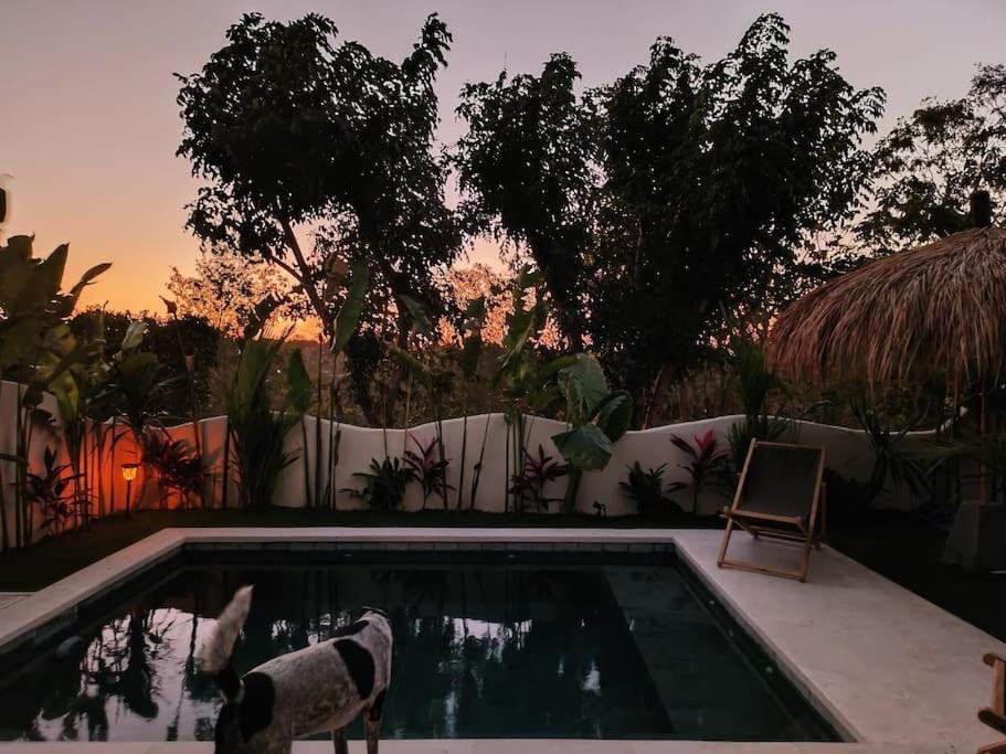 Villa Koru Uluwatu (Bali)