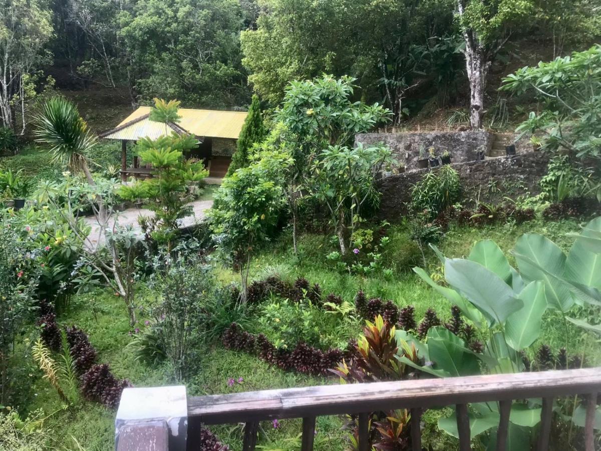 Hotel Sena Munduk (Bali)