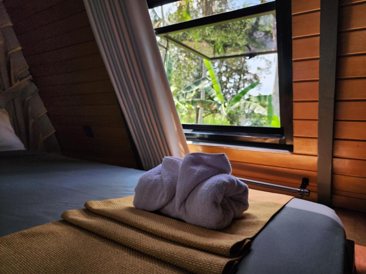 Delta Casa Ubud-jungle With Volcano View Villa *