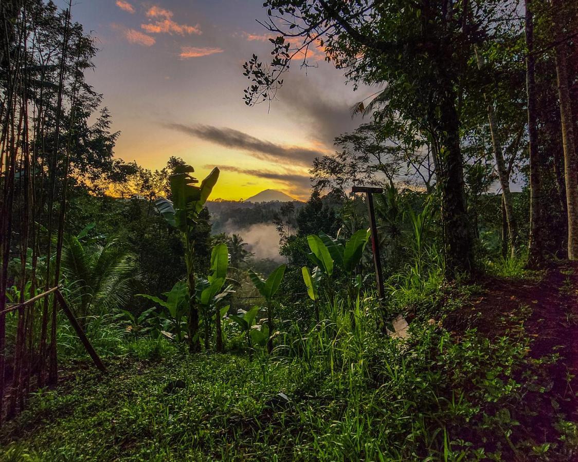 Delta Casa Ubud-jungle With Volcano View * Gianyar (Bali)