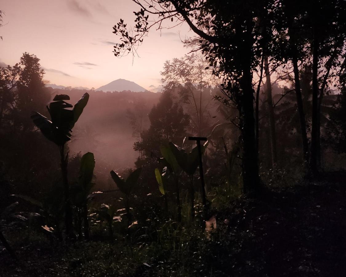 Delta Casa Ubud-jungle With Volcano View Villa Gianyar (Bali)