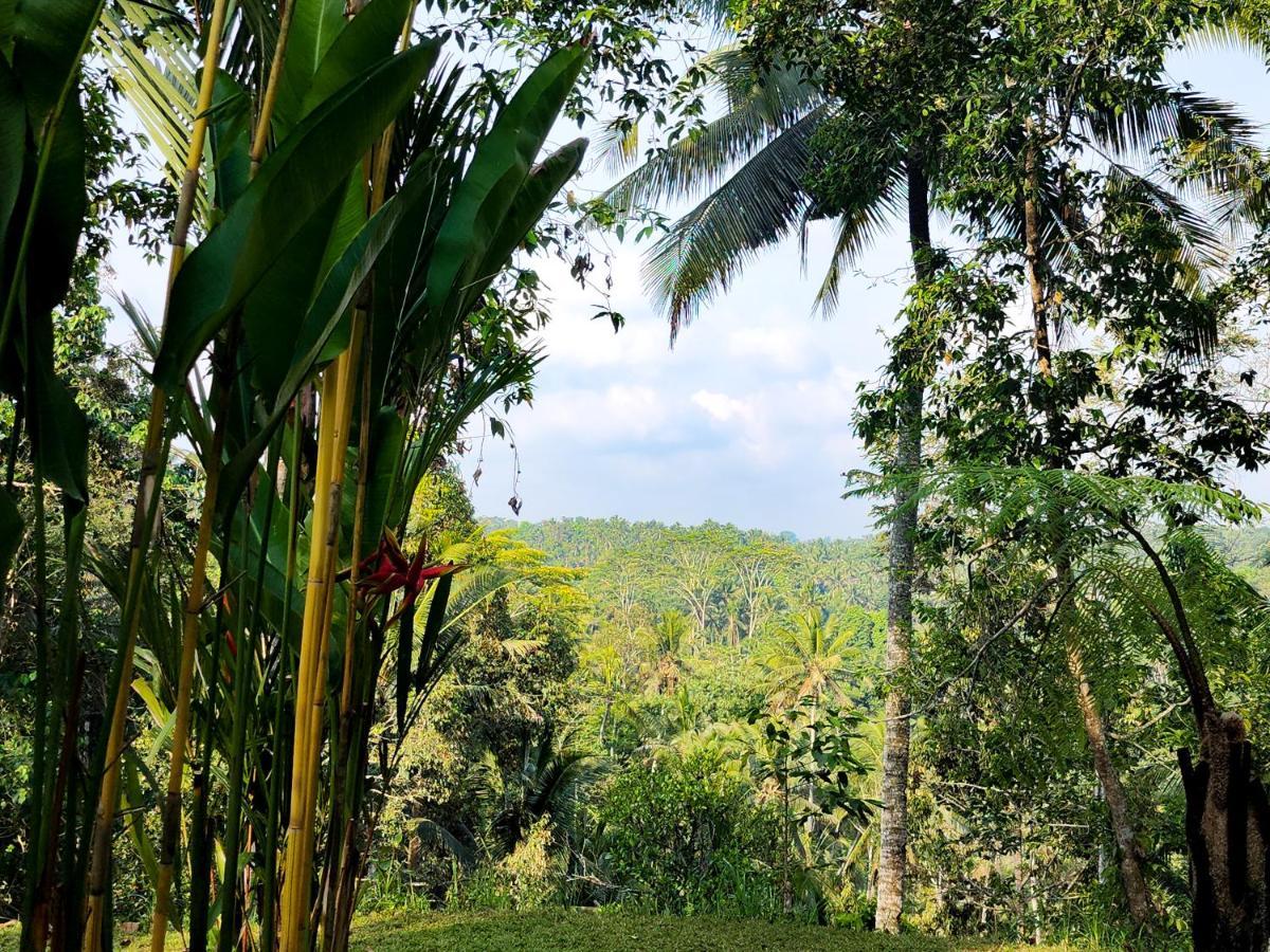 Delta Casa Ubud-jungle With Volcano View *