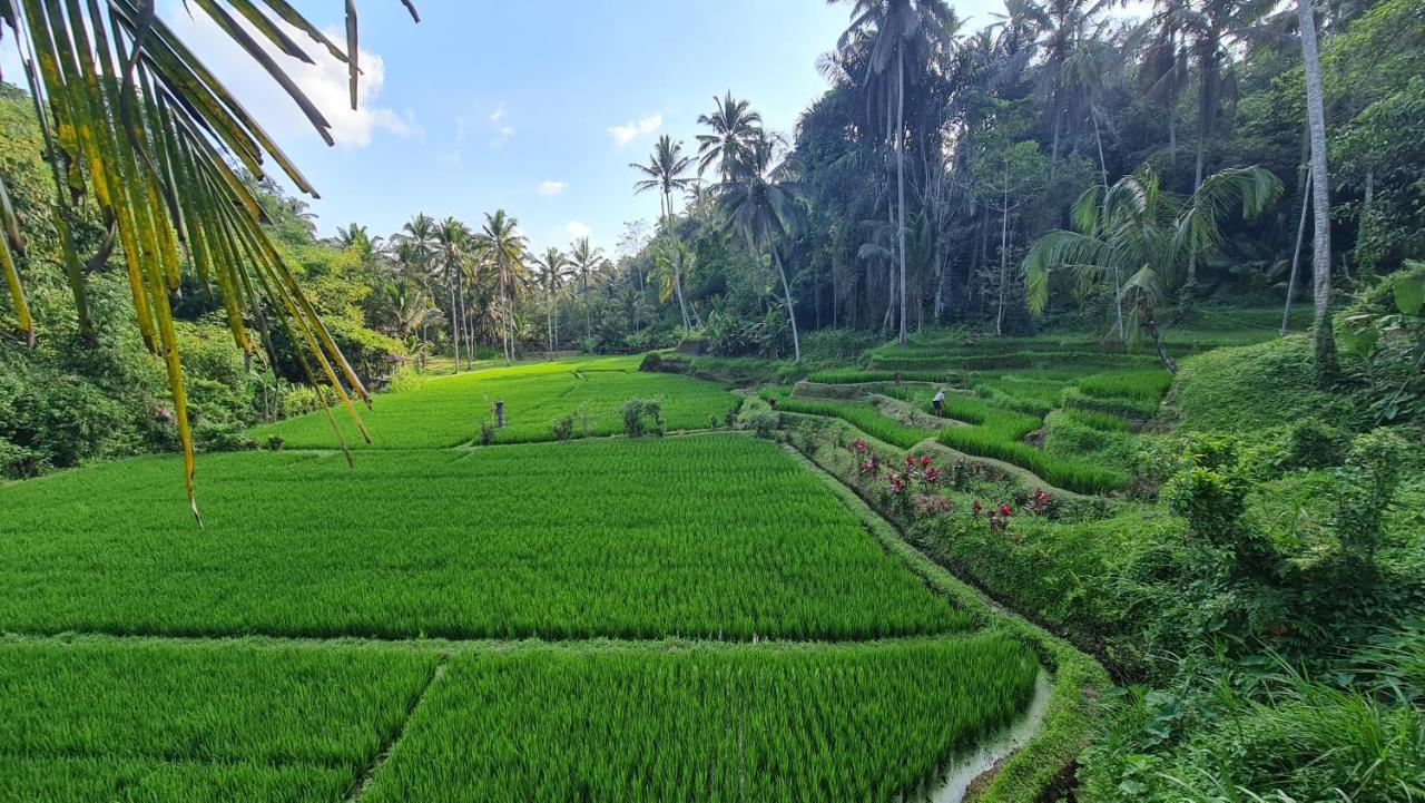 Tirta Sari Tampaksiring