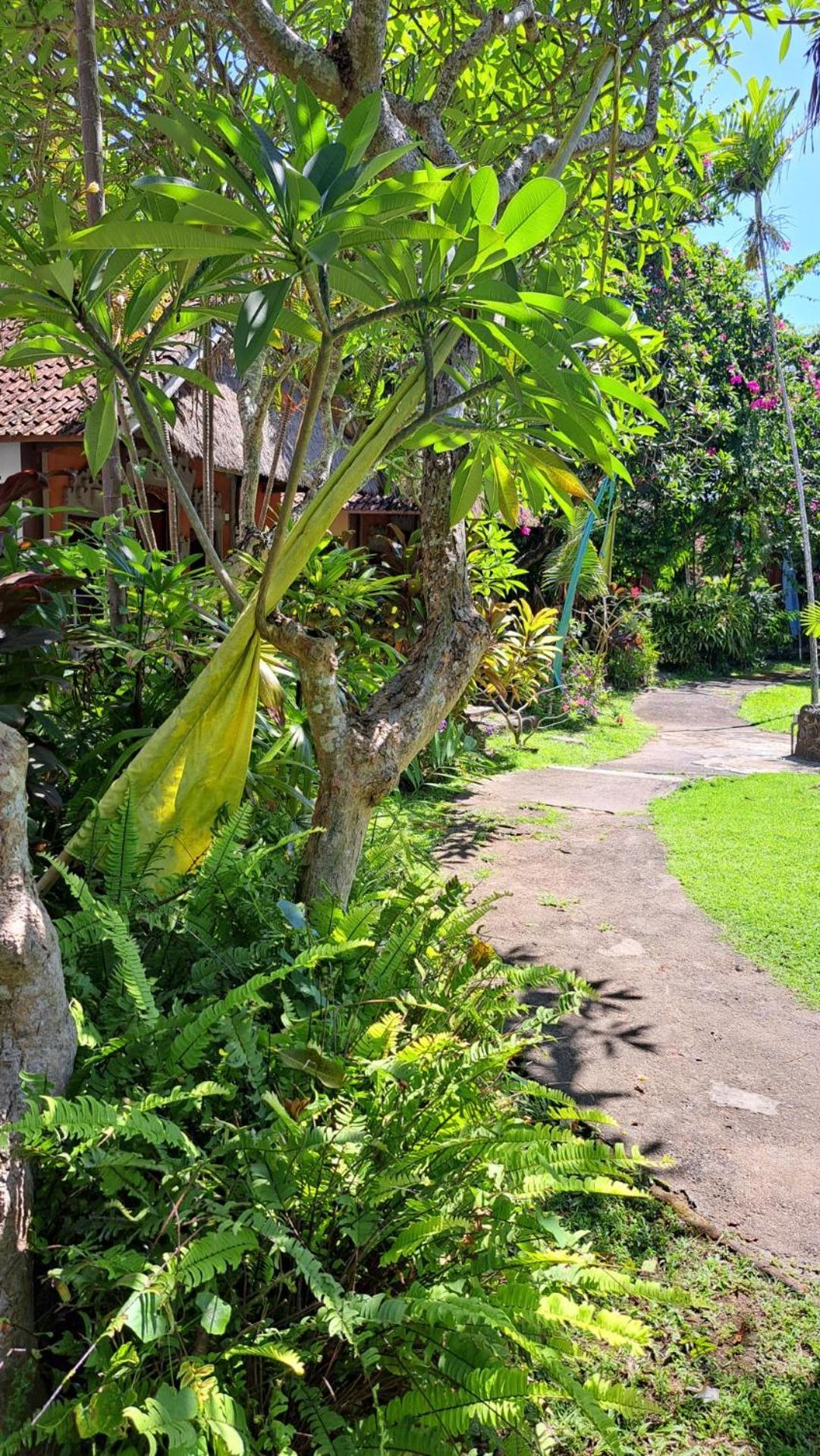 Holiday park Bali Kembali