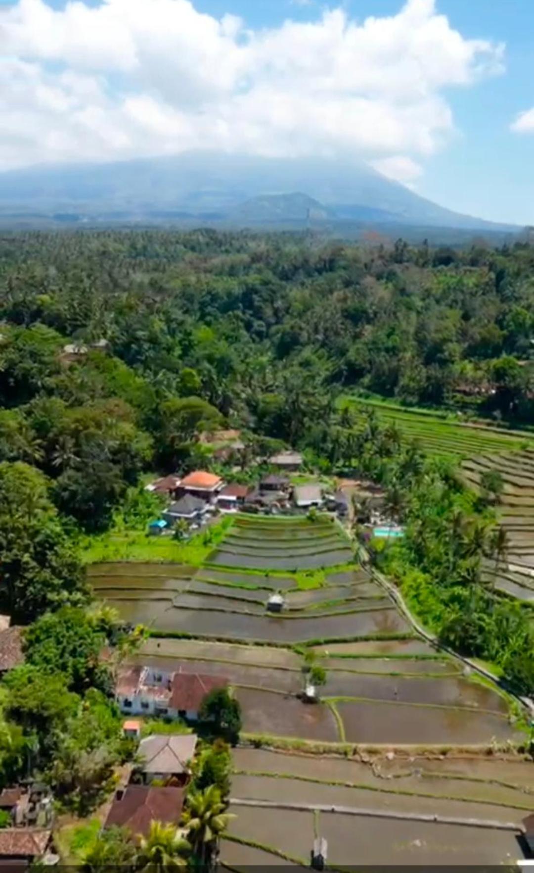 Dau * Karangasem (Bali)