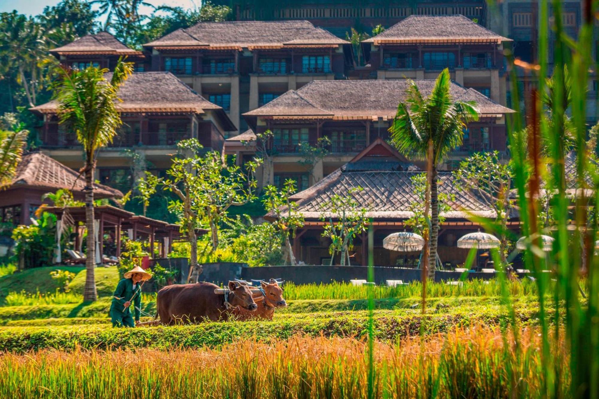 Resor Mandapa, A Ritz-carlton Reserve Ubud (Bali)