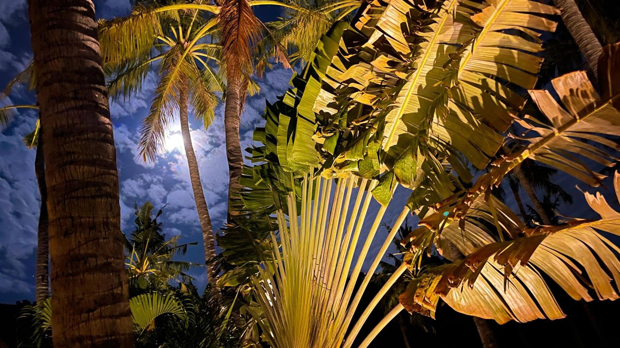 Taman liburan Palm Garden & Bali