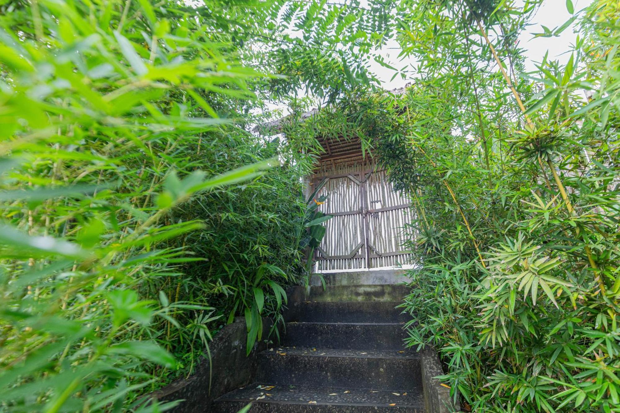 Shigar Livin Bali *