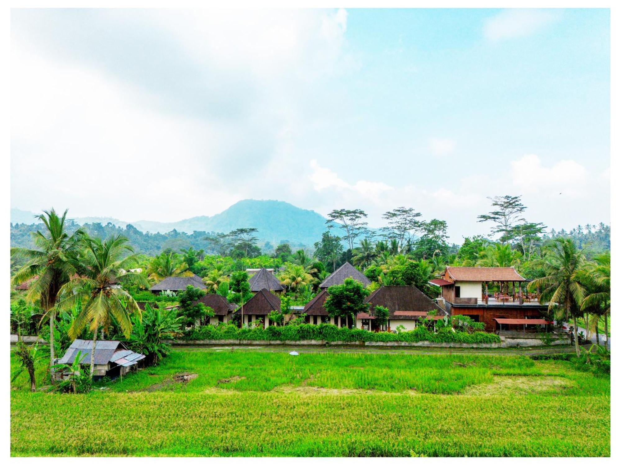 Gongwi Homestay Sidemen (Bali)
