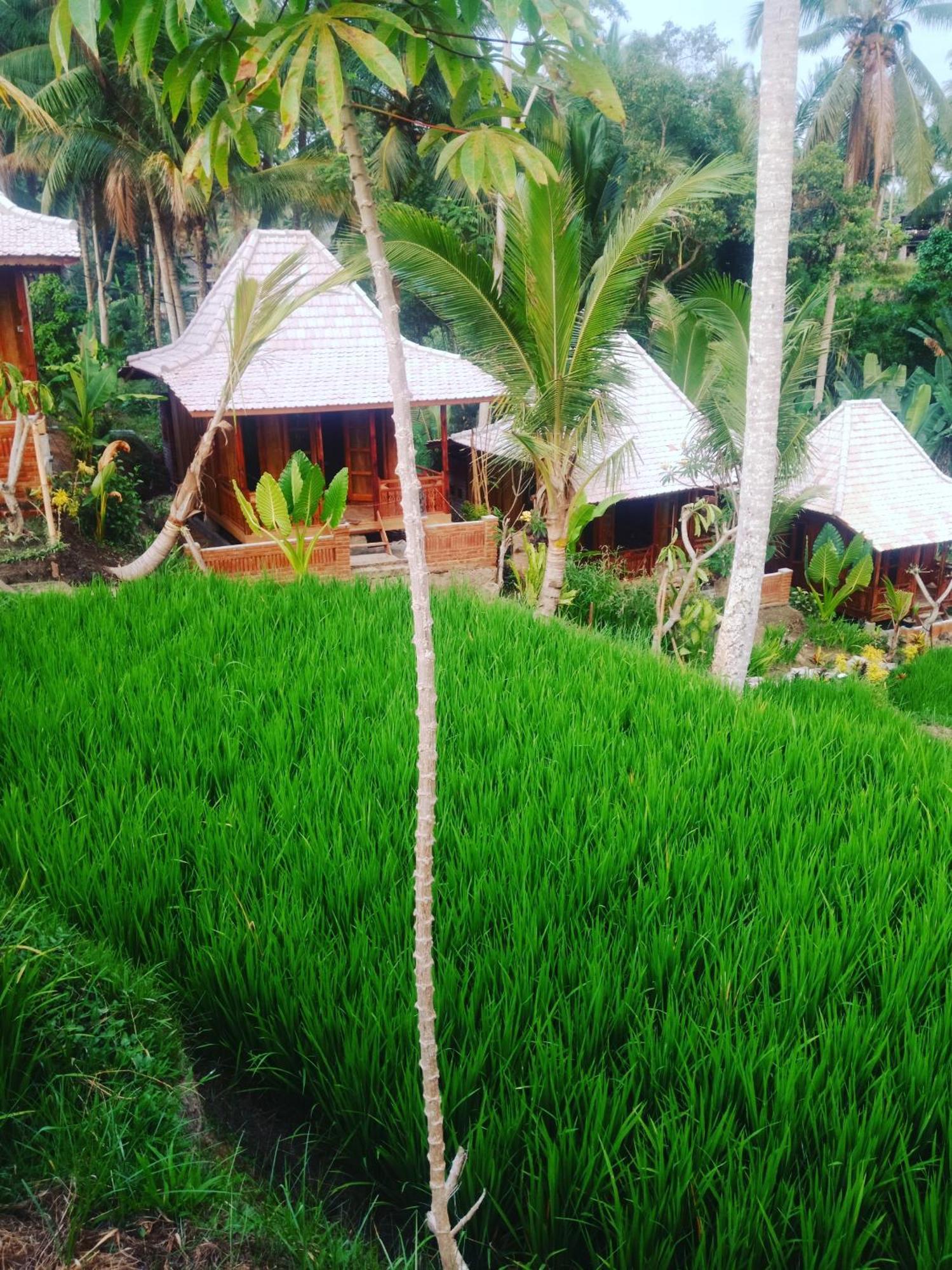 Wooden House And Ubud (Bali)