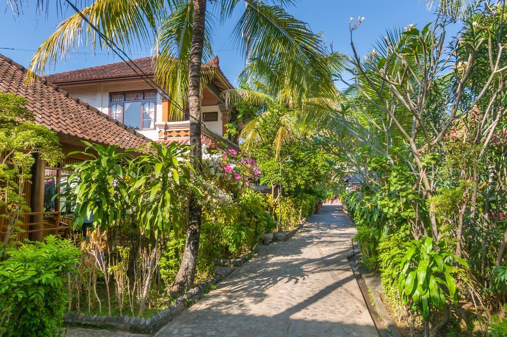 Holiday park Paradise Palm And Dive Center Tulamben (Bali)
