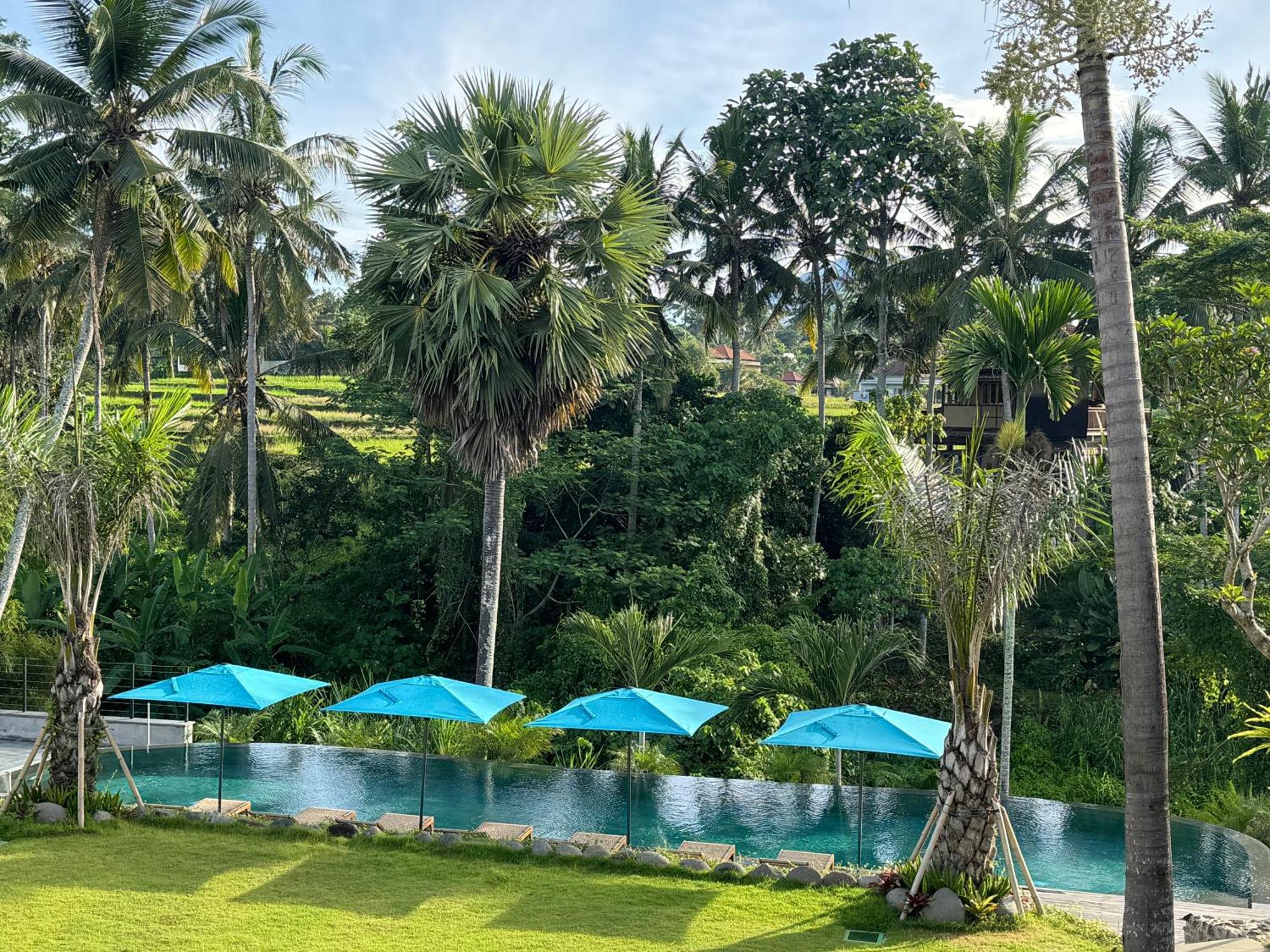 Rudra Sahashrara Bali - Ayurvedic - Health And Wellness Ubud (Bali)